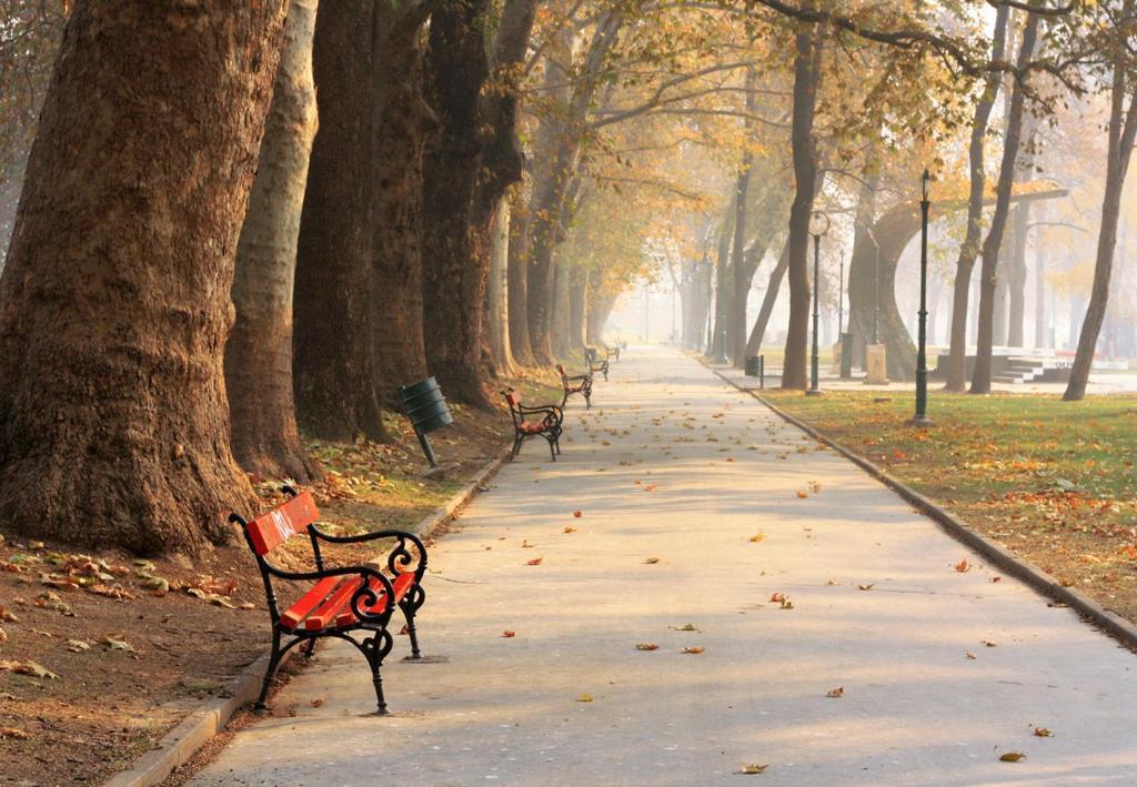 דירות סקופיה Bohemian Quarter / City Park, Free Parking מראה חיצוני תמונה