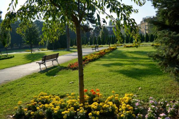 דירות סקופיה Bohemian Quarter / City Park, Free Parking מראה חיצוני תמונה